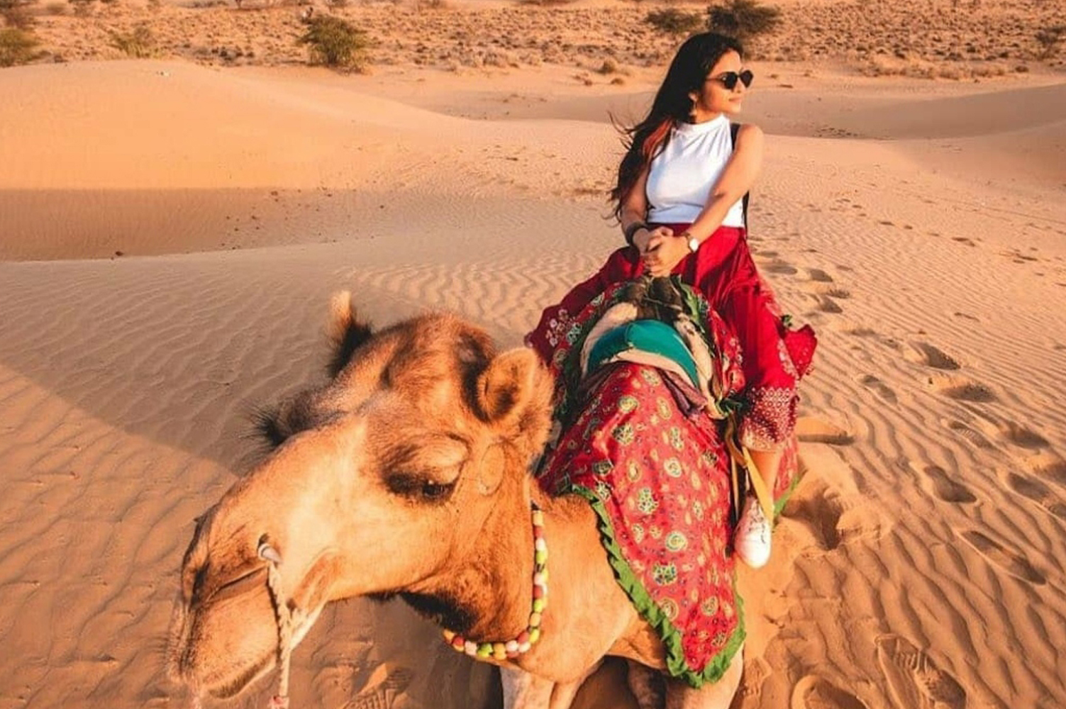 camel safari camel safari